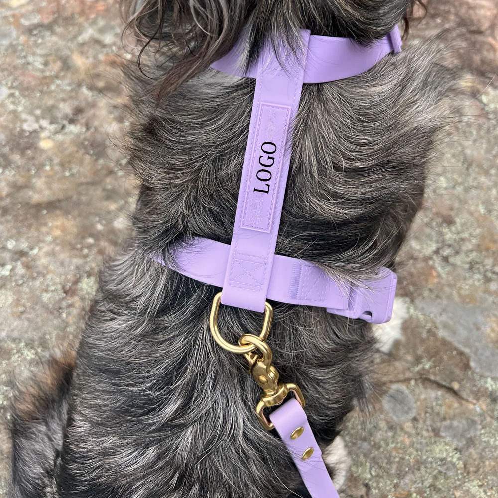 สายรัดสีม่วง