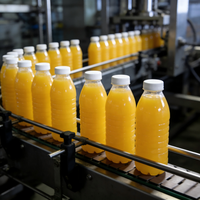 Hotselling automatische dranken- en waterafvulmachine voor 500ml-2L PET-flessen, 15000 BPH, hoge productiviteit, sap productielijn