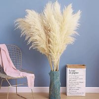 Botte de fleurs séchées beige, pièces, plantes décoratives de mariage, vente en gros, bon marché, naturelles