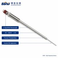 C-Type W-Re Thermocouple 0-1900°C ±1% for Ceramic Kiln High Temperature Sensor Industrial Probe