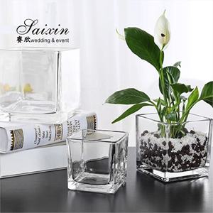ZT-227 गर्म बिक्री वेडिंग गृह सजावट सस्ती कीमत के साथ वर्ग स्पष्ट गिलास फूलदान - Product Image 1