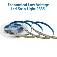 Bande lumineuse LED flexible de haute qualité, haute densité, ECO 10 mm SMD2835 12V 240 leds/m