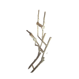 Poignée de porte sculpturale en bronze en forme de branche d'arbre, rustique et asymétrique, quincaillerie architecturale pour hôtel de charme et entrée en bois massif - Product Image 5