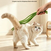 Mainan Kucing Grosir Bentuk Kacang Realistis, Spons Lembut, Mainan Interaktif untuk Menggigit dan Bermain, Mainan Anak Kucing