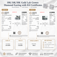 Золотые серьги 10k 14k 18k с выращенными в лаборатории бриллиантами 0.5ct 1ct 2ct, круглой огранки, CVD HPHT, VVS2 VS1, цвет D, сертифицированы IGI