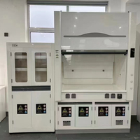 Campana de Extracción de Gases Químicos a Prueba de Explosiones Personalizable, Campana de Extracción Industrial para Laboratorio con Ventilador y Vidrio