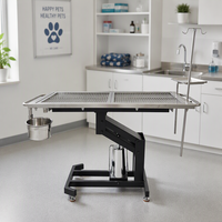 Table d'opération vétérinaire hydraulique en acier inoxydable 304 pour clinique vétérinaire, chien, chat