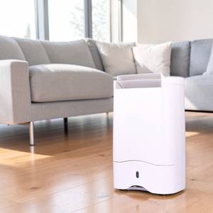 Purificador de Aire y Deshumidificador con Certificación DDF CE para Dormitorio, 10L, Temporizador, Silencioso, Personalización Disponible - Product Image 1