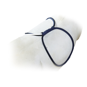 24700 Pemf Gauss Pemf Therapy dispositivo per terapia con cavalli facile da usare per apparecchi per raschiare il dolore muscolare - Product Image 1