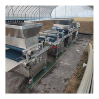 Machine automatique de semis de haute précision avec une capacité de 250 plateaux/heure pour la plantation et le repiquage de légumes