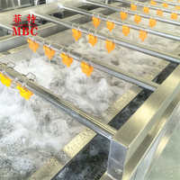 MBC Automatische Fruitwasinstallatie Bubbel Fruitreinigingsmachine voor Mango, Appel, Sinaasappel, Peer en vers fruitverwerking