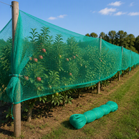 Filet anti-oiseaux écologique coupe-vent en PE pour horticulture, idéal pour les jardins potagers, les vignobles et les semis