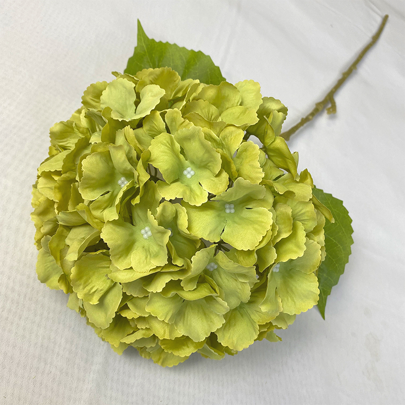 fruit green