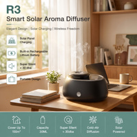 Diffuseur d'arômes portable mini de table en plastique blanc rechargeable par USB pour petite pièce, à énergie solaire, pour huiles essentielles, marque distributeur