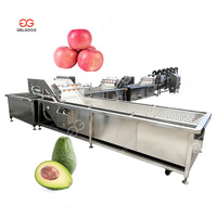 Uienreiniging Waxen En Verpakken Productielijn Droge Bladgroente Fruit Sorteren Snijdroogmachine