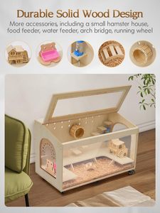 <span class=keywords><strong>Cage</strong></span> à hamster en bois transparente avec dessus amovible - Habitat ventilé pour petits animaux, maison d'observation pour souris - Product Image 2