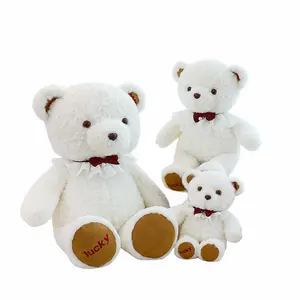 高品质可爱毛绒白色泰迪熊准备装运小熊