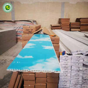 Panel <span class=keywords><strong>de</strong></span> <span class=keywords><strong>PVC</strong></span> <span class=keywords><strong>de</strong></span> 200/250/300 mm, <span class=keywords><strong>Precio</strong></span> <span class=keywords><strong>de</strong></span> Fábrica EXW/FOB, Un Contenedor, Decoración <span class=keywords><strong>de</strong></span> Techo, Plástico <span class=keywords><strong>de</strong></span> <span class=keywords><strong>PVC</strong></span> <span class=keywords><strong>de</strong></span> Buena Calidad, Longitud del Panel <span class=keywords><strong>de</strong></span> 5,8 Metros - Product Image 5