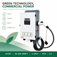Borne de Recharge DC CCS2 40kW Double Pistolet OCPP 1.6J Paiement Rapide IP54 pour Centre Commercial, Parking, Bureau avec Écran Tactile, Compteur d'Énergie, Facturation et NFC