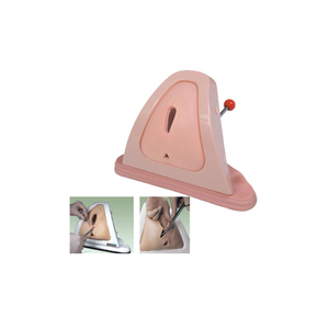 การสังเกตเปรียบเทียบการสอนทางการแพทย์ที่มีคุณภาพสูงรูปแบบการเย็บแผล Episiotomy ขั้นสูง - Product Image 6