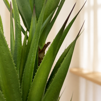Plante artificielle en sisal, agave, 170 cm de haut, faux arbre de yucca, plante artificielle réaliste, sans arrosage, décoration pour la maison, le bureau, le salon