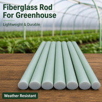 Varilla de Soporte de Fibra de Vidrio FRP para Invernadero, Alta Resistencia, Resistente a la Intemperie, Soporte Agrícola para Plantas con Servicio de Corte
