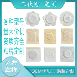 Parche de Artemisia Sanfu, Parche de Miel, Parche de Cuidado de la Salud con Cera de Abeja Sanjiu, Varios Modelos de Parches de Estimulación por Presión de Puntos de Acupuntura - Product Image 5