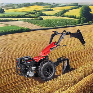 Hochwertiger Benzin-Zweirad-Lauf traktor Multifunktionsplatten-Boden pflug ist zu einem angemessenen Preis - Product Image 2