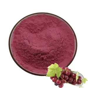 Reines natürliches Frucht pulver mit rotem Trauben schalen extrakt