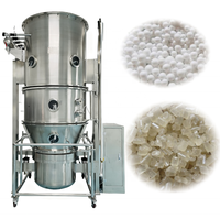 Granulateur à lit fluidisé automatique FL-200 avec contrôle PLC, pompe et chauffage électrique à engrenages pour comprimés, capsules effervescentes et granulés