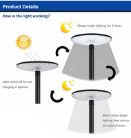 Lampes solaires LED de jardin 20W, petit modèle, boîtier en aluminium, indice de protection IP65, blanc chaud, fonctionnant sur batterie, rechargeables, télécommande PWM