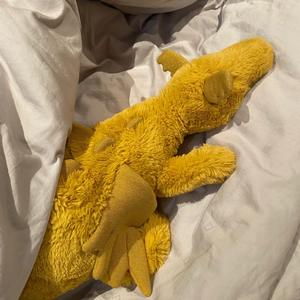 Organic catt organik pamuk peluş oyuncak gökyüzü ejderha ve kar ejderha kürklü doldurulmuş hayvanlar yumuşak ağırlıklı atmak yastık - Product Image 4