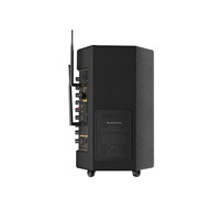 Altavoz Bluetooth portátil profesional con batería recargable, compatible con FM, USB, tarjeta TF, entrada AUX y micrófono