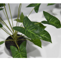 Plante artificielle Scindapsus, fausse feuille de lierre, Epipremnum, Pothos doré synthétique, petit bonsaï 50 cm pour centres de table, décoration de magasin et de maison