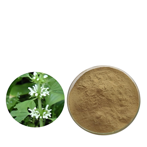 Ekstrak Marrubium Vulgare dan <span class=keywords><strong>Horehound</strong></span> untuk suplemen kesehatan alami obat Herbal tradisional dan produk botani - Product Image 2