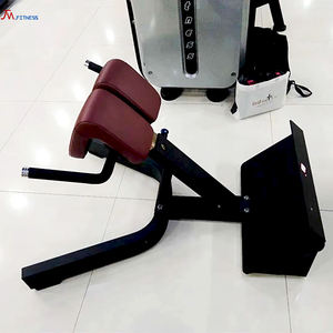 Équipement de fitness de haute qualité Chaise romaine Inverse Hyper Extension Bancs <span class=keywords><strong>d</strong></span>'exercice du bas du <span class=keywords><strong>dos</strong></span> Extension du <span class=keywords><strong>dos</strong></span> à 45 degrés - Product Image 6