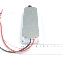 Módulo Amplificador de Potencia RF GaN de 100W G2700-2900MHz con Fuente de Señal VCO Integrada