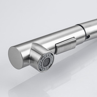 Robinet d'évier de cuisine en acier inoxydable OEM/ODM, mitigeur de cuisine flexible brossé avec pulvérisateur extractible