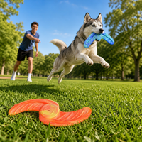 Jouet à mâcher interactif pour chien, design boomerang, en TPR durable, fabrication Famipet, vente en gros personnalisée, nouveau modèle.