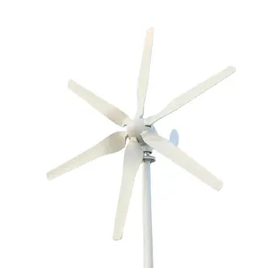 Turbina aerogeneradora de energía alternativa, 1000W, 12V, 24V, precio excelente, envío gratis al almacén de la UE