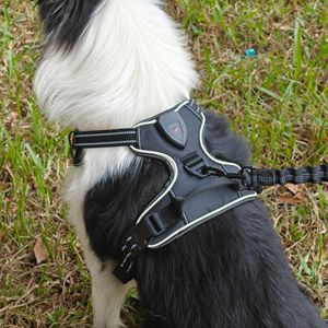 LED <b>Dog</b> Harness Adjustable Reflective <b>Lights</b> Oxford Cloth Chest Strap for Small Medium Large <b>Dogs</b> Nighttime Walks - Product Image 1