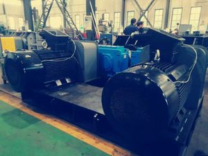 Frantoio a Doppio Rullo TTEPT, Prezzo Frantoio a Rulli per Carbone, Coke, Roccia, Pietra/Minerale - Product Image 6