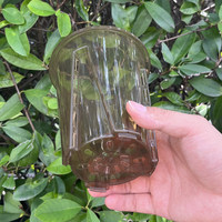 Pots à fleurs transparents en plastique pour orchidées, pots de culture respirants avec contrôle des racines et trous, jardinières transparentes pour Phalaenopsis
