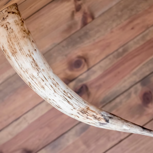 งานศิลปะติดผนังสไตล์ทะเล ตกแต่งผนังด้วยเขาควายขัดเงาจากธรรมชาติ ราคาถูกที่สุด โดย CRAFTING CRAFTS - Product Image 1