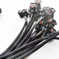 Usine ODM : éclairage automobile personnalisé avec faisceau de câbles et connecteur à interrupteur