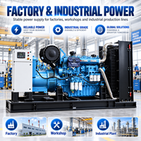Groupe électrogène diesel refroidi par eau Durable Royal 200 kW 250 kVA avec contrôleur Deepsea ATS pour hôpitaux et applications industrielles