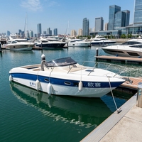 Bateau de croisière à cabine en FRP de 32 pieds, bateau à moteur hors-bord, bateau rapide, bateau de pêche, bateau de tourisme