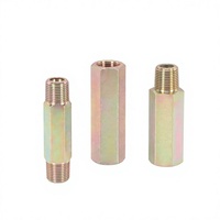 Raccord mâle hexagonal à double filetage mâle standard britannique, avec filetage femelle allongé, 2, 3 et 4 pouces