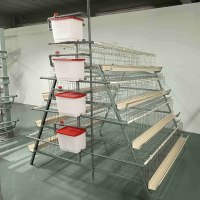 Cage à poules pondeuses de type A, galvanisée, équipement de batterie avicole pour l'élevage commercial de poules pondeuses – Vente directe usine