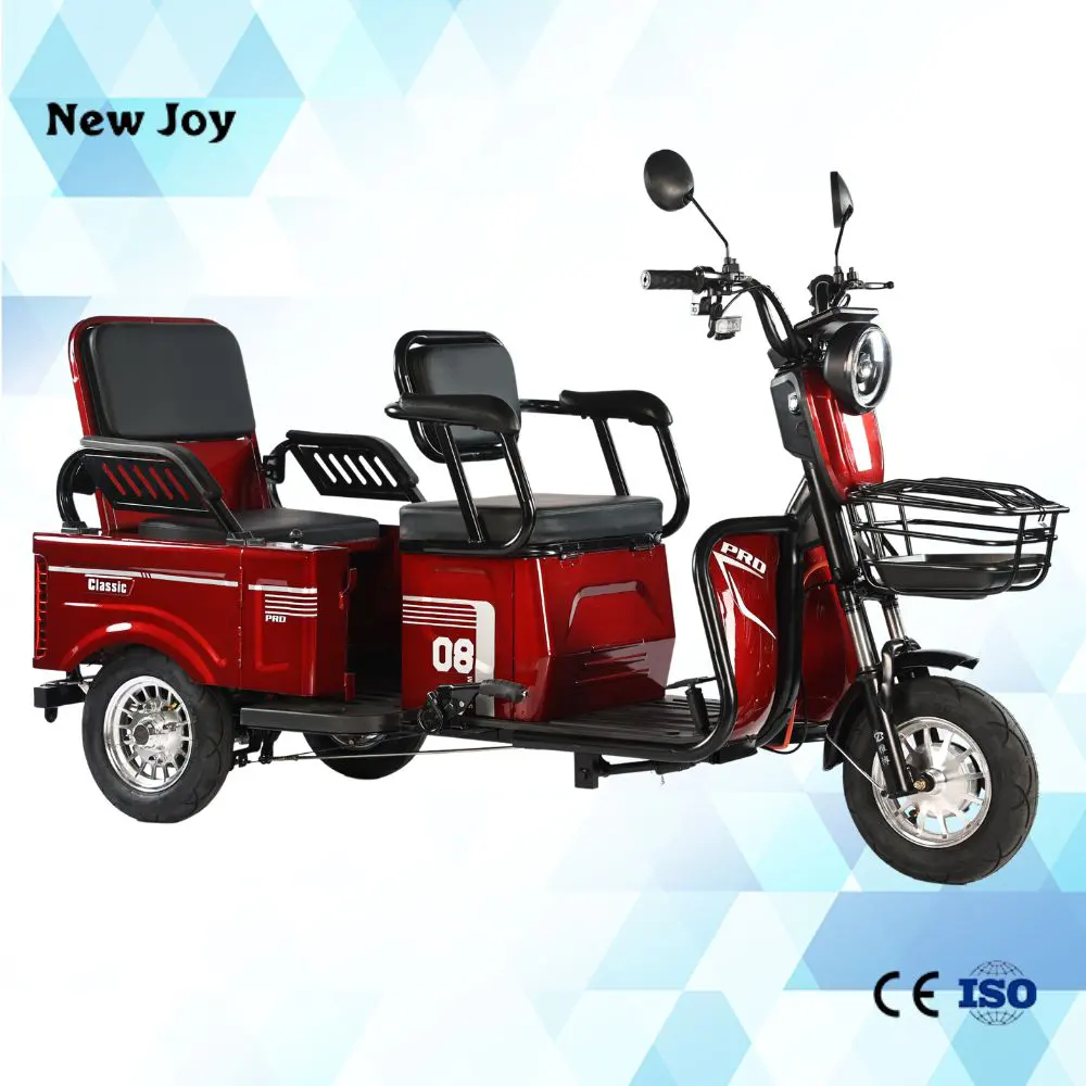 2024 DETRITUS 600W cina anziani 3 ruote moto Cargo triciclo elettrico comune per il trasporto passeggeri e merci